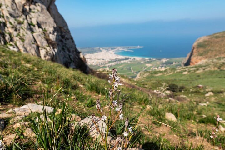 cai-erice-monte-monaco-cozzo-mondello-1