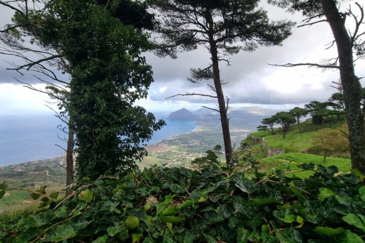 cai-erice-dicembre-2024-11