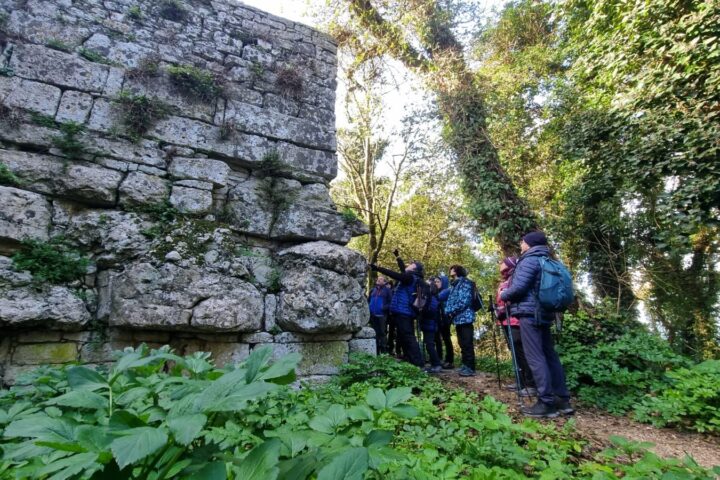 cai-erice-dicembre-2024-16