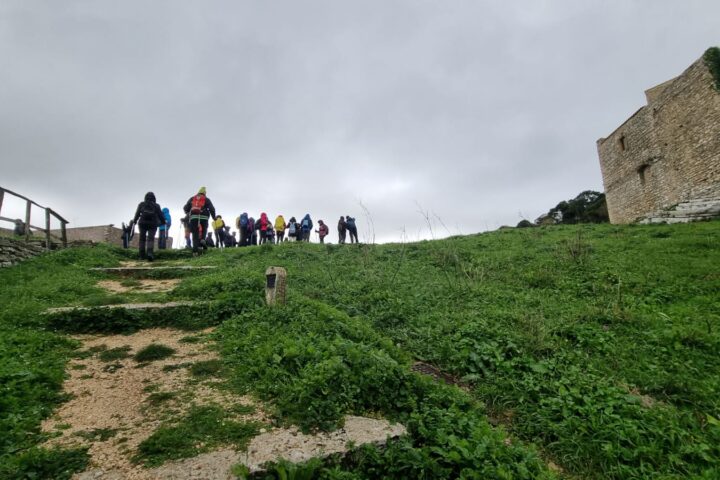 cai-erice-dicembre-2024-26