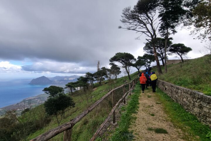 cai-erice-dicembre-2024-9