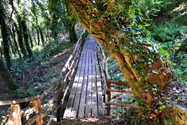 Il ponticello che attraversa il bosco